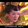 一肖中特免费资料公开选料体验